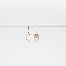 Load image into Gallery viewer, Oval Scribbled Earrings